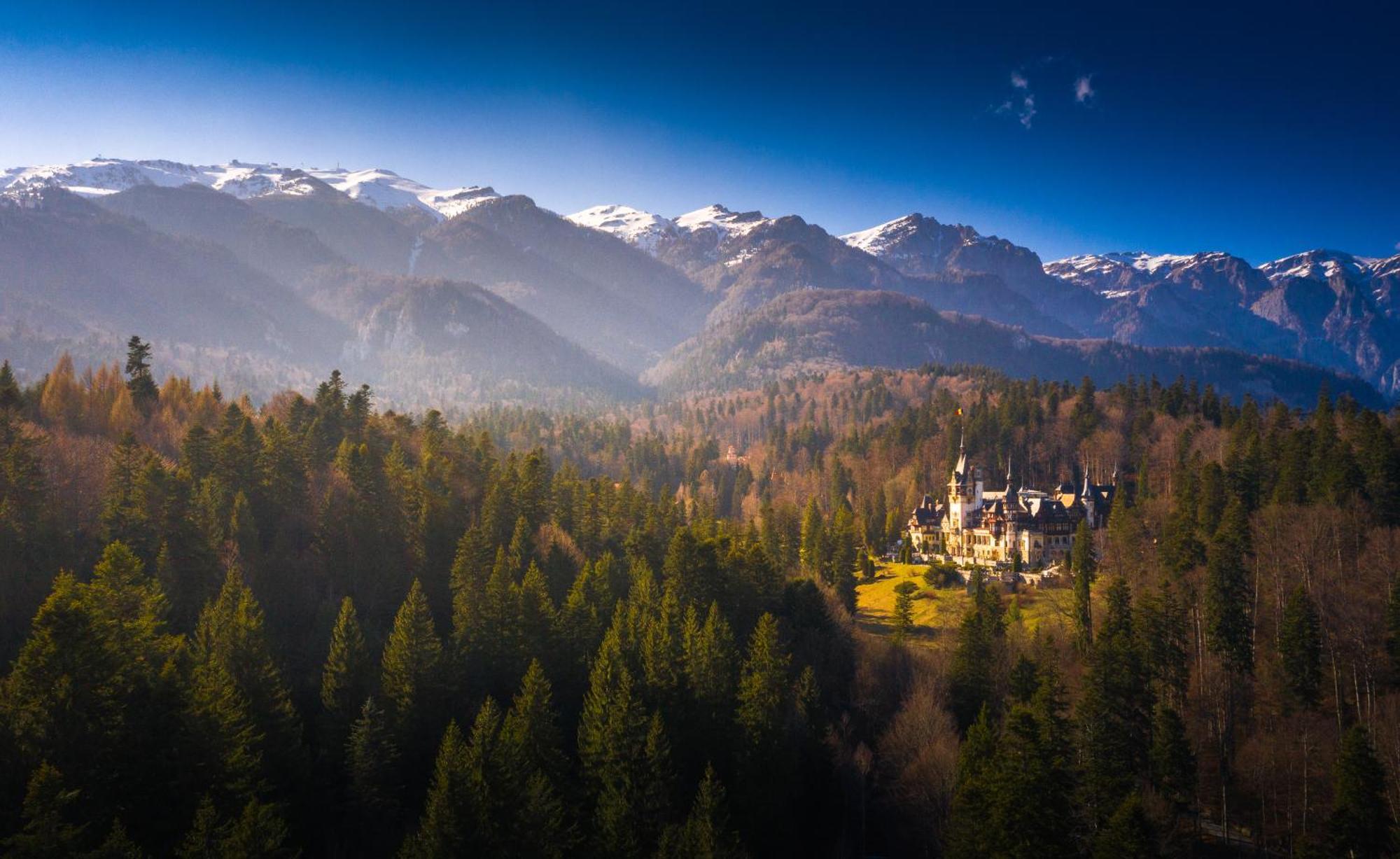 The Cozy Deer Apartment Sinaia